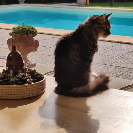 Ferienhaus Casa San Rocco Castelnuovo (Asti)