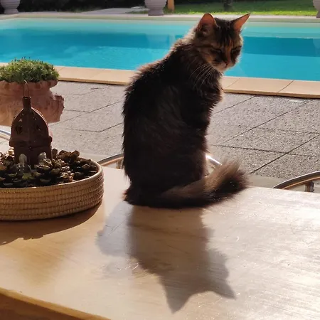 Casa San Rocco Semesterbostad