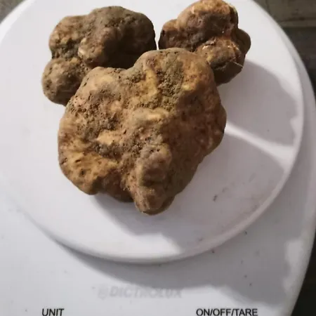 Semesterbostad Casa San Rocco