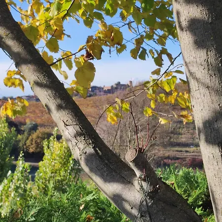 Casa San Rocco Ferienhaus *